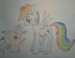 Size: 938x720 | Tagged: safe, artist:bertopo, rainbow dash, pikachu, g4, crossover, crossover shipping, flower, pokémon, rainbowchu (shipping), shipping, traditional art