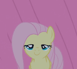 Size: 500x446 | Tagged: safe, screencap, fluttershy, filli vanilli, g4, season 4, animated, cute, eyes closed, female, flutterguy, happy, shyabetes, smiling, solo
