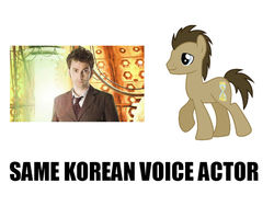 Size: 800x600 | Tagged: safe, doctor whooves, time turner, g4, doctor who, exploitable meme, kim seung-jun, korea, korean, meme, same voice actor, tenth doctor