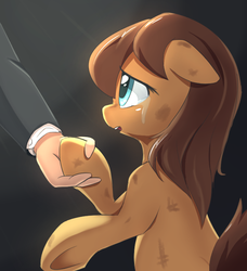 Size: 676x740 | Tagged: safe, artist:remi721, oc, oc only, oc:anon, oc:morning glory, earth pony, pony, /mlp/, clothes, crying, earth pony oc, female, mare, open mouth, outstretched hand