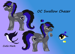 Size: 3496x2508 | Tagged: safe, artist:heartshielder1991, oc, oc only, oc:swallow chaser, high res, solo