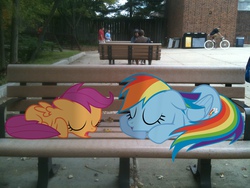 Size: 2048x1536 | Tagged: safe, artist:dreamcasterpegasus, artist:rainbowderp98, artist:uxyd, rainbow dash, scootaloo, human, pegasus, pony, g4, bench, bicycle, building, duo focus, irl, irl human, photo, ponies in real life, sleeping, vector