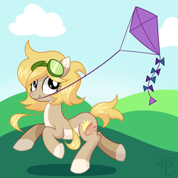 Size: 2200x2200 | Tagged: dead source, safe, artist:php92, oc, oc only, oc:wicker, earth pony, pony, earth pony oc, high res, kite, solo