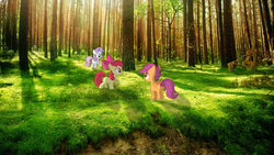 Size: 1920x1080 | Tagged: safe, apple bloom, scootaloo, sweetie belle, g4, cutie mark crusaders, forest, irl, photo, photoshop, ponies in real life, wallpaper