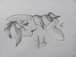 Size: 3648x2736 | Tagged: safe, artist:lililioon, rainbow dash, g4, female, high res, monochrome, solo, traditional art