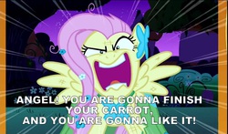 Size: 819x481 | Tagged: safe, edit, edited screencap, screencap, angel bunny, fluttershy, g4, the best night ever, dying for pie, female, flutterrage, solo, spongebob squarepants