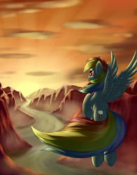 Size: 1650x2100 | Tagged: safe, artist:grennadder, rainbow dash, g4, female, solo