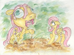 Size: 3950x2955 | Tagged: safe, artist:catseye-view, fluttershy, pinkie pie, g4, clothes, costume, duo, high res, traditional art