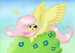 Size: 1920x1363 | Tagged: safe, artist:agamnentzar, fluttershy, g4, bush, feather, female, flower, looking at you, smiling, solo, spread wings, traditional art, windswept mane