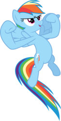 Size: 3142x6258 | Tagged: safe, artist:thisismyphotoshoppin, rainbow dash, g4, the super speedy cider squeezy 6000, absurd resolution, female, simple background, solo, tough, transparent background, vector