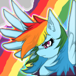 Size: 900x900 | Tagged: artist needed, safe, rainbow dash, g4, female, solo