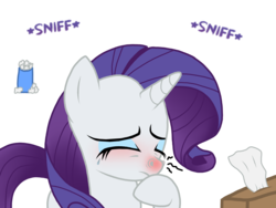 Size: 2048x1536 | Tagged: safe, artist:proponypal, rarity, g4, cold, crying, female, fetish, nostrils, red nosed, sick, sneezing, sneezing fetish, solo, tissue, tissue box
