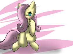 Size: 1024x768 | Tagged: safe, artist:aquadango, fluttershy, g4, chest fluff, female, filly, solo