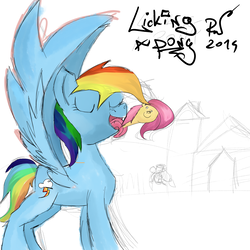 Size: 2000x2000 | Tagged: safe, artist:irwin, fluttershy, rainbow dash, pegasus, pony, g4, high res, wip