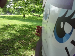 Size: 2560x1920 | Tagged: safe, rarity, g4, cardboard cutout, date, new york, park, waifu