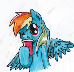 Size: 900x877 | Tagged: safe, artist:digiral, rainbow dash, g4, bust, cup, drinking, female, one eye closed, solo, spread wings, traditional art, wink