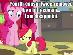 Size: 527x400 | Tagged: safe, apple bloom, big macintosh, pinkie pie, earth pony, pony, g4, pinkie apple pie, i am disappoint, image macro, male, meme, stallion