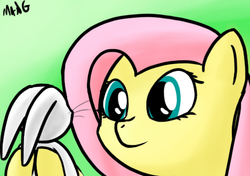 Size: 469x330 | Tagged: safe, artist:mang, angel bunny, fluttershy, g4