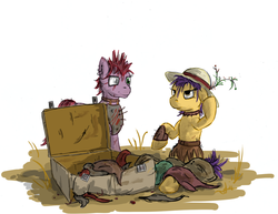 Size: 1224x947 | Tagged: safe, artist:eriada, oc, oc only, fallout equestria, clothes, hat, raider