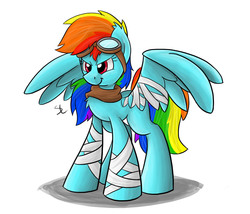 Size: 1400x1200 | Tagged: safe, artist:luximus17, rainbow dash, pegasus, pony, g4, bandage, clothes, cosplay, crossover, female, goggles, male, mare, scarf, simple background, solo, sonic boom, sonic the hedgehog, sonic the hedgehog (series), spread wings, standing, three quarter view, white background, wings
