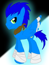 Size: 339x452 | Tagged: safe, artist:zelda-kingdom-hearts, pony, male, ponified, solo, sonic boom, sonic the hedgehog, sonic the hedgehog (series)