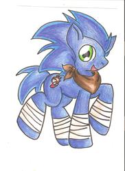 Size: 1700x2338 | Tagged: safe, artist:darkhorse888, pony, male, ponified, solo, sonic boom, sonic the hedgehog, sonic the hedgehog (series), traditional art