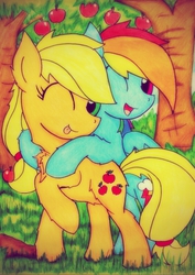 Size: 1422x2012 | Tagged: safe, artist:canvymamamoo, applejack, rainbow dash, g4, friendshipping