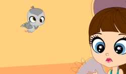 Size: 361x212 | Tagged: safe, human, barely pony related, blythe baxter, derp, derpy hoots, littlest pet shop