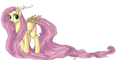 Size: 3000x1500 | Tagged: safe, artist:abovespace, fluttershy, pony, g4, female, long mane, long tail, simple background, solo