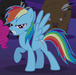 Size: 448x438 | Tagged: safe, edit, edited screencap, screencap, pinkie pie, rainbow dash, bison, buffalo, pegasus, pony, g4, over a barrel, angry, animated, caption, female, frown, glare, gritted teeth, image macro, mare, open mouth, solo, spread wings, stomping, talking, text, unnamed buffalo, unnamed character, wide eyes