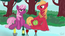 Size: 1280x720 | Tagged: safe, artist:jbond, big macintosh, cheerilee, earth pony, pony, g4, alcohol, bottle, candle, drunk, duo, female, male, mare, picnic, ship:cheerimac, shipping, stallion, straight, tree, wine, wine bottle