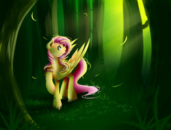 Size: 1700x1300 | Tagged: safe, artist:moeru789, fluttershy, g4, crepuscular rays, female, forest, solo