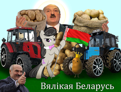Size: 1296x986 | Tagged: safe, artist:stein-vs, octavia melody, earth pony, pony, g4, alexander lukashenko, belarus, belarusian, bipedal, collage, flag, holding a flag, potato, president, tractor, wat