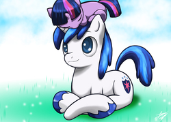 Size: 2100x1500 | Tagged: safe, artist:skecchiart, shining armor, twilight sparkle, pony, unicorn, g4, brother and sister, cute, female, filly, filly twilight sparkle, male, ponies riding ponies, pony hat, riding, sleeping, twiabetes, twilight riding shining armor, younger