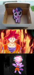 Size: 461x1024 | Tagged: safe, twilight sparkle, alicorn, pony, saiyan, unicorn, g4, carla castañeda, dashie meme, dragon ball, dragon ball z, exploitable meme, female, genki dama, male, mare, mario castañeda, meme, son goku, son twilight, spirit bomb, super saiyan god, super saiyan princess, twilight sparkle (alicorn), voice actor joke