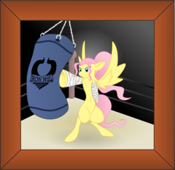 Size: 1066x1035 | Tagged: safe, artist:totallyanalicornguys, fluttershy, iron will, g4, alternate hairstyle, belly button, boxing, chest fluff, female, picture frame, ponytail, solo