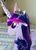 Size: 790x1086 | Tagged: safe, twilight sparkle, g4, photo, rocking horse