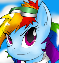 Size: 1336x1412 | Tagged: safe, artist:flam3zero, rainbow dash, g4, clothes, cosplay, crossover, female, portrait, solo, sonic adventure 2, sonic the hedgehog (series)