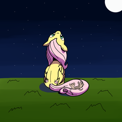 Size: 2000x2000 | Tagged: safe, artist:ced75, fluttershy, mouse, g4, female, high res, night, solo