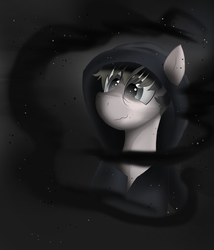 Size: 3000x3500 | Tagged: safe, artist:thevixvix, oc, oc only, pony, high res, male, solo