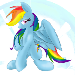 Size: 2000x2000 | Tagged: safe, artist:stec-corduroyroad, rainbow dash, g4, female, high res, solo