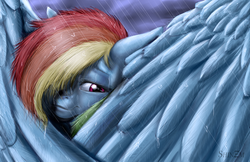 Size: 1360x880 | Tagged: safe, artist:shinzm, rainbow dash, g4, feather, female, folded wings, rain, solo, wing shroud