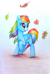 Size: 800x1185 | Tagged: safe, artist:dr-evil---lilu, rainbow dash, g4, female, leaves, solo, traditional art