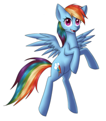 Size: 700x800 | Tagged: safe, artist:daydreamerforever95, rainbow dash, g4, female, solo