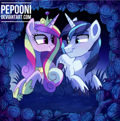 Size: 664x669 | Tagged: safe, artist:pepooni, princess cadance, shining armor, g4, blue rose, crown, female, flower, jewelry, looking at each other, male, night, prone, regalia, rose, ship:shiningcadance, shipping, straight