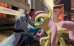 Size: 1131x707 | Tagged: safe, fluttershy, g4, 3d, gmod, medic, medic (tf2), team fortress 2