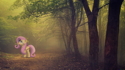 Size: 1920x1080 | Tagged: safe, artist:colorfulbrony, artist:yanoda, fluttershy, pegasus, pony, g4, curious, fog, irl, pathway, photo, ponies in real life, solo, tree, vector, wallpaper