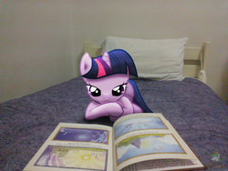 Size: 3264x2448 | Tagged: safe, artist:fluttershy7, artist:ojhat, princess celestia, princess luna, twilight sparkle, g4, bed, book, elements of harmony, high res, irl, photo, pillow, ponies in real life, reading, solo, vector