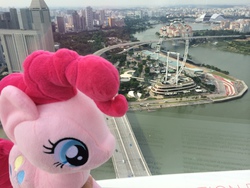 Size: 3264x2448 | Tagged: safe, artist:rx8racer, pinkie pie, g4, 4de, high res, irl, photo, plushie, ponies around the world, singapore