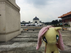 Size: 3264x2448 | Tagged: safe, artist:rx8racer, fluttershy, g4, chiang kai-shek, high res, irl, photo, plushie, ponies around the world, taiwan